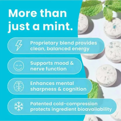 Energy Focus Mints